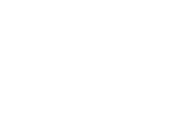 Denium LLC